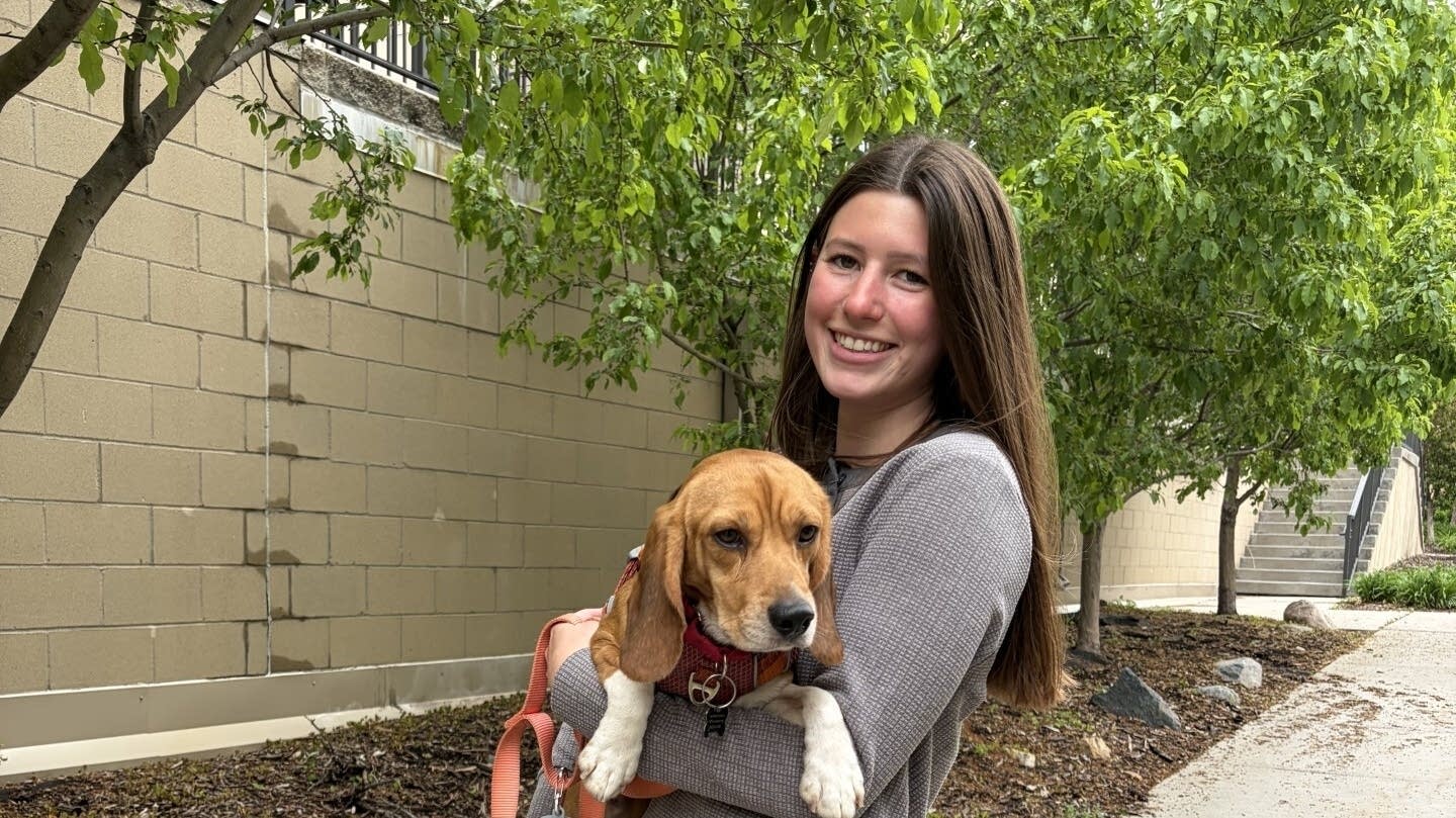 Pup-date from Ridgland beagle foster mom ahead of dog's adoption day