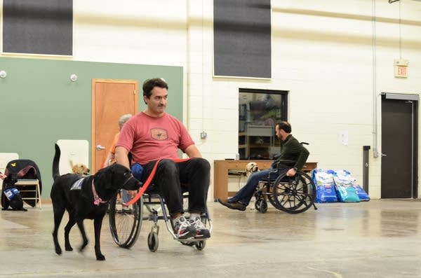 Hortman service dog