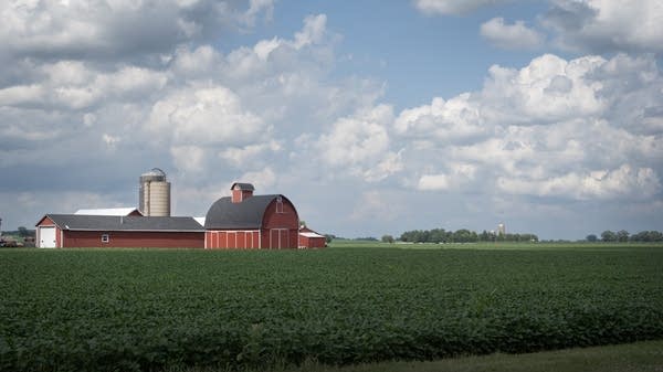 Low prices for commodity crops are a problem for farmers all over the country right now. Corn, soy bean and wheat prices are all fetching lower prices than they were three years ago.