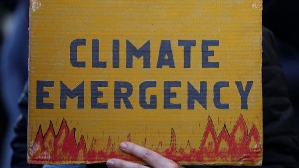The climate crisis is an economic crisis (bonus episode)