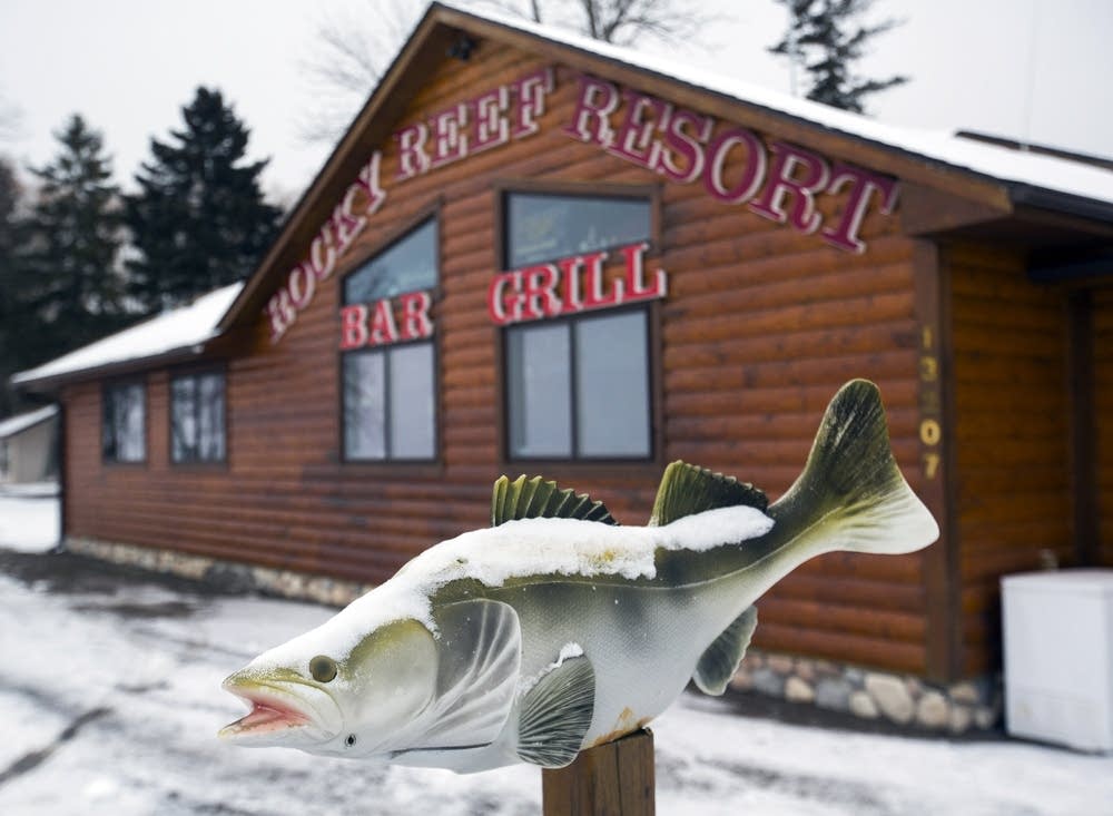 Mille Lacs walleye woes dominate DNR forum Minnesota Public Radio News