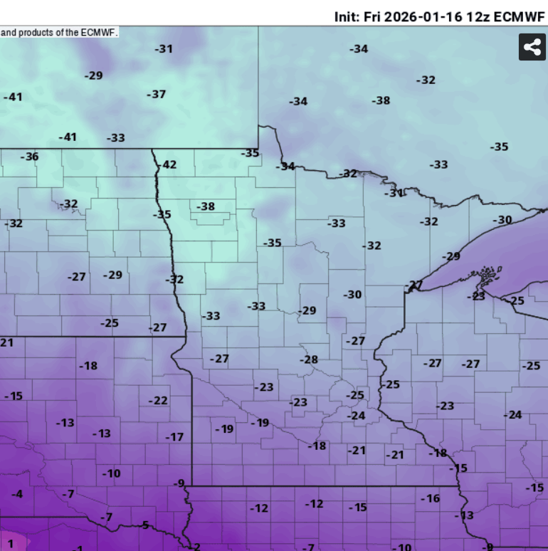 European ECMWF model temperature