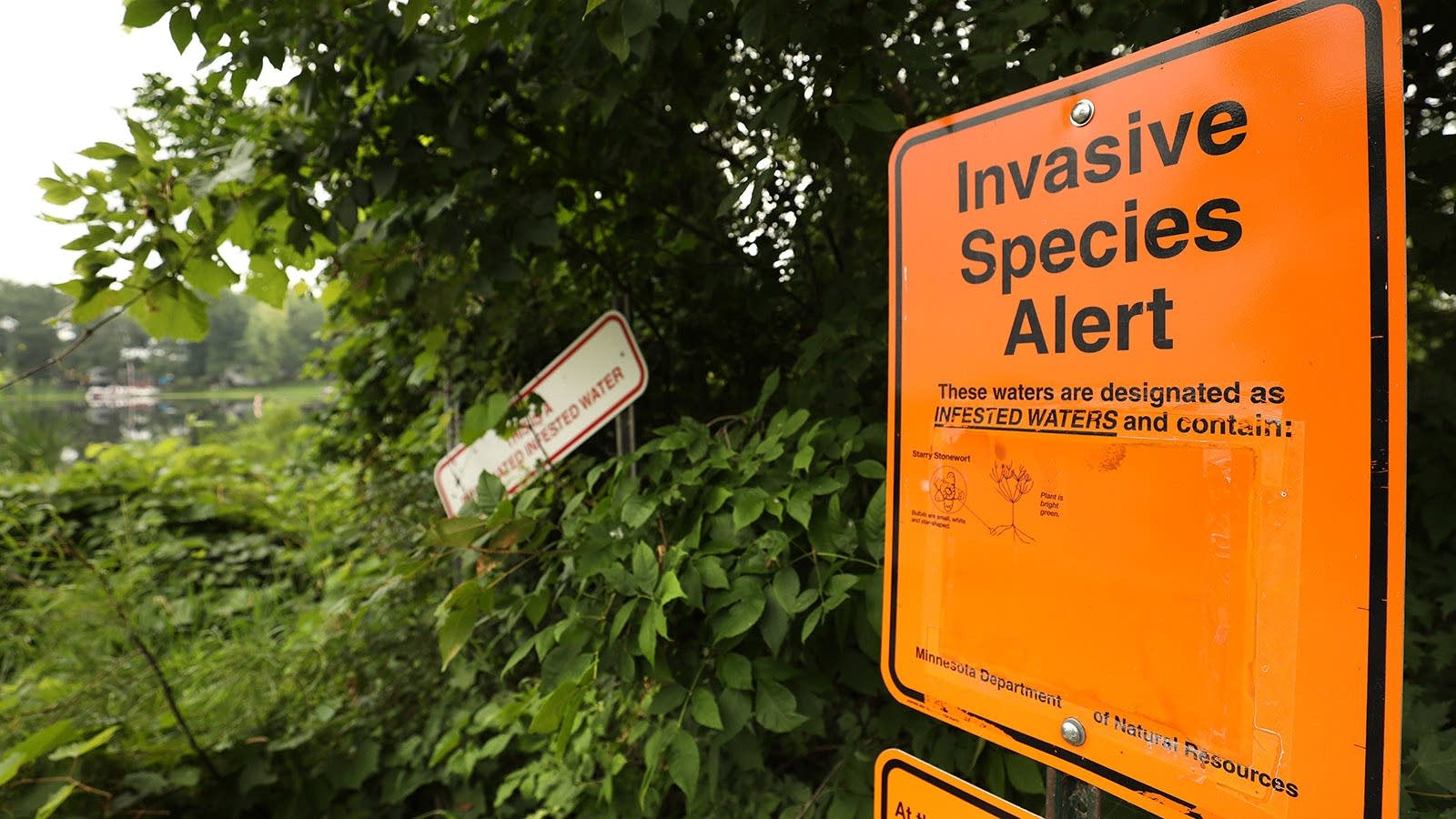 Signage at public access points at Lake Koronis