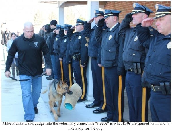 1,000 Words: Last salute for a dog