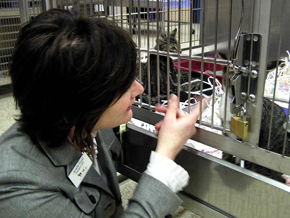 Animal Humane Society president Janelle Dixon