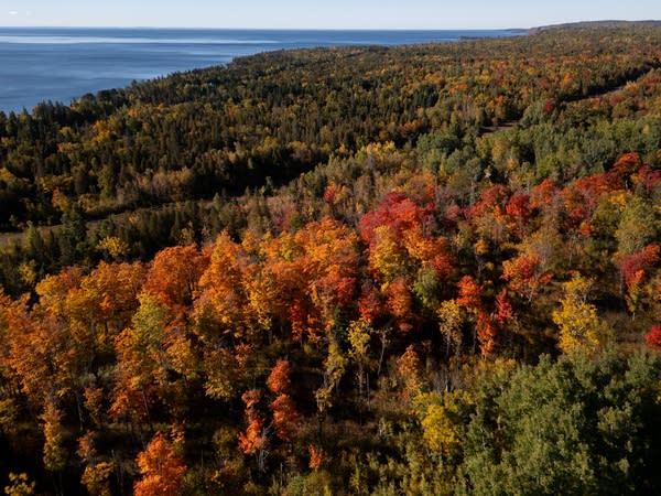 Fall colors along the North Shore