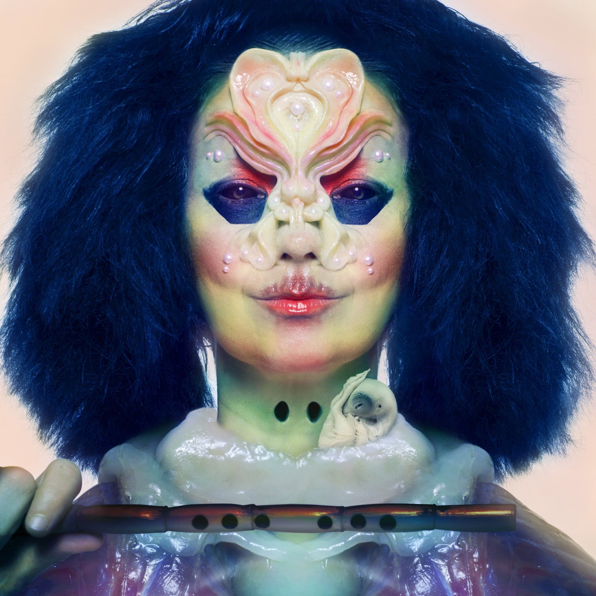 scaricare mp3 bjork