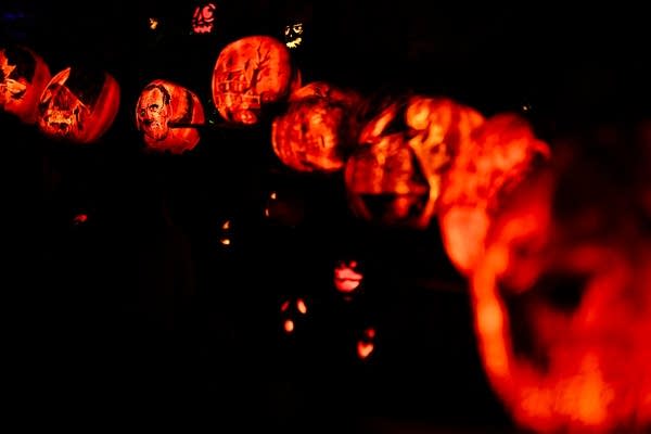 Minnesota Zoo pumpkin art | MPR News