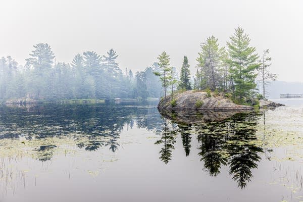 smoky air among trees near a lake