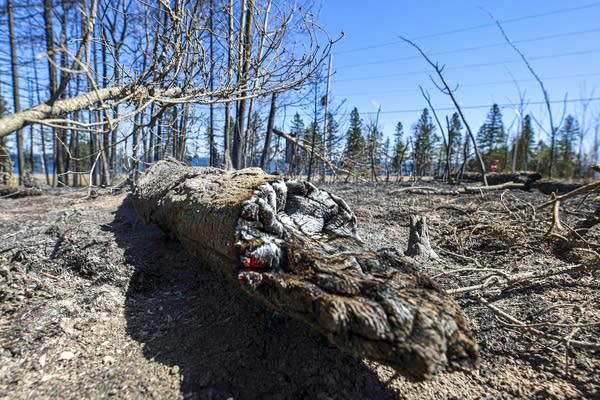 Wildfire near Two Harbors