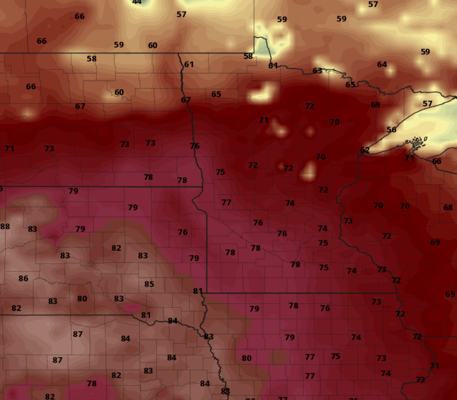 European model (ECMWF) temperature forecast 