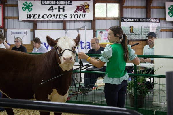 A teenage girl in a green vest stands next to a cow.