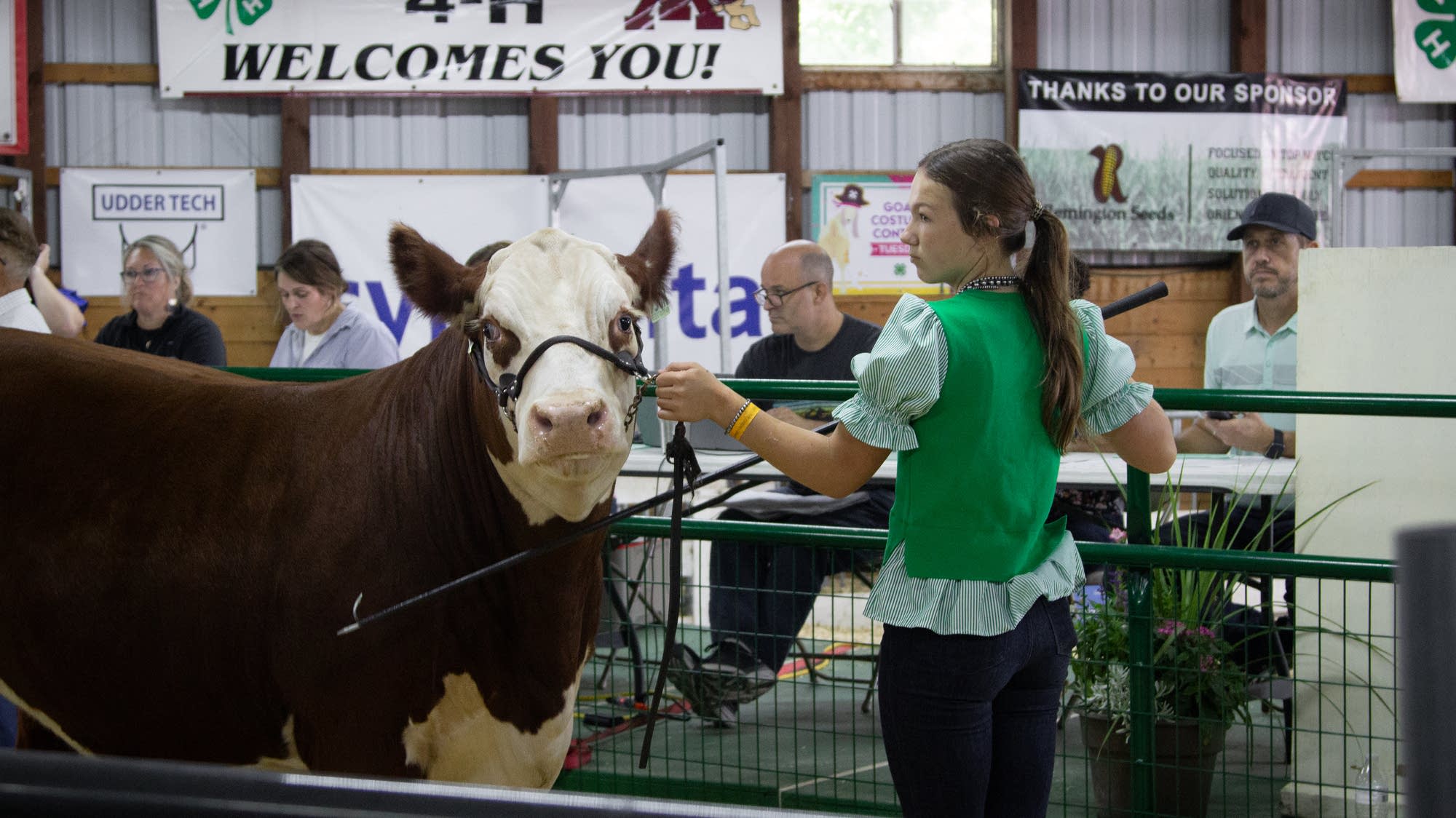 Kids prep award-winning animals for State Fair