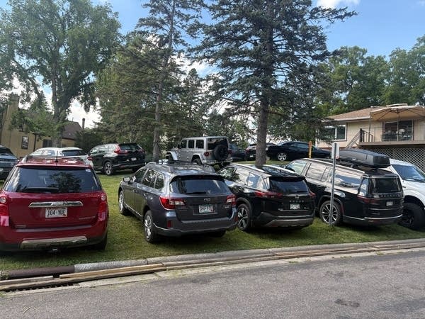 cars park on a lawn