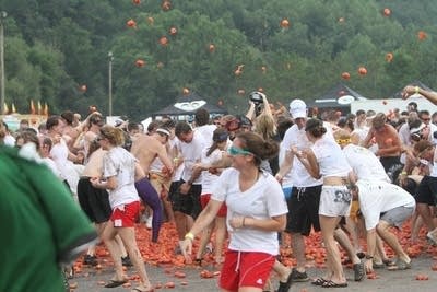 Tomato fest