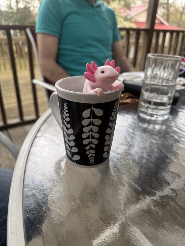 Relaxolotl