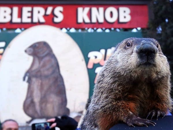 What songs do you want to hear for today's 9:30 Coffee Break?