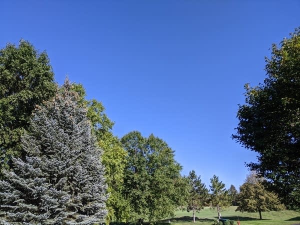 Blue August sky at the Weather Lab