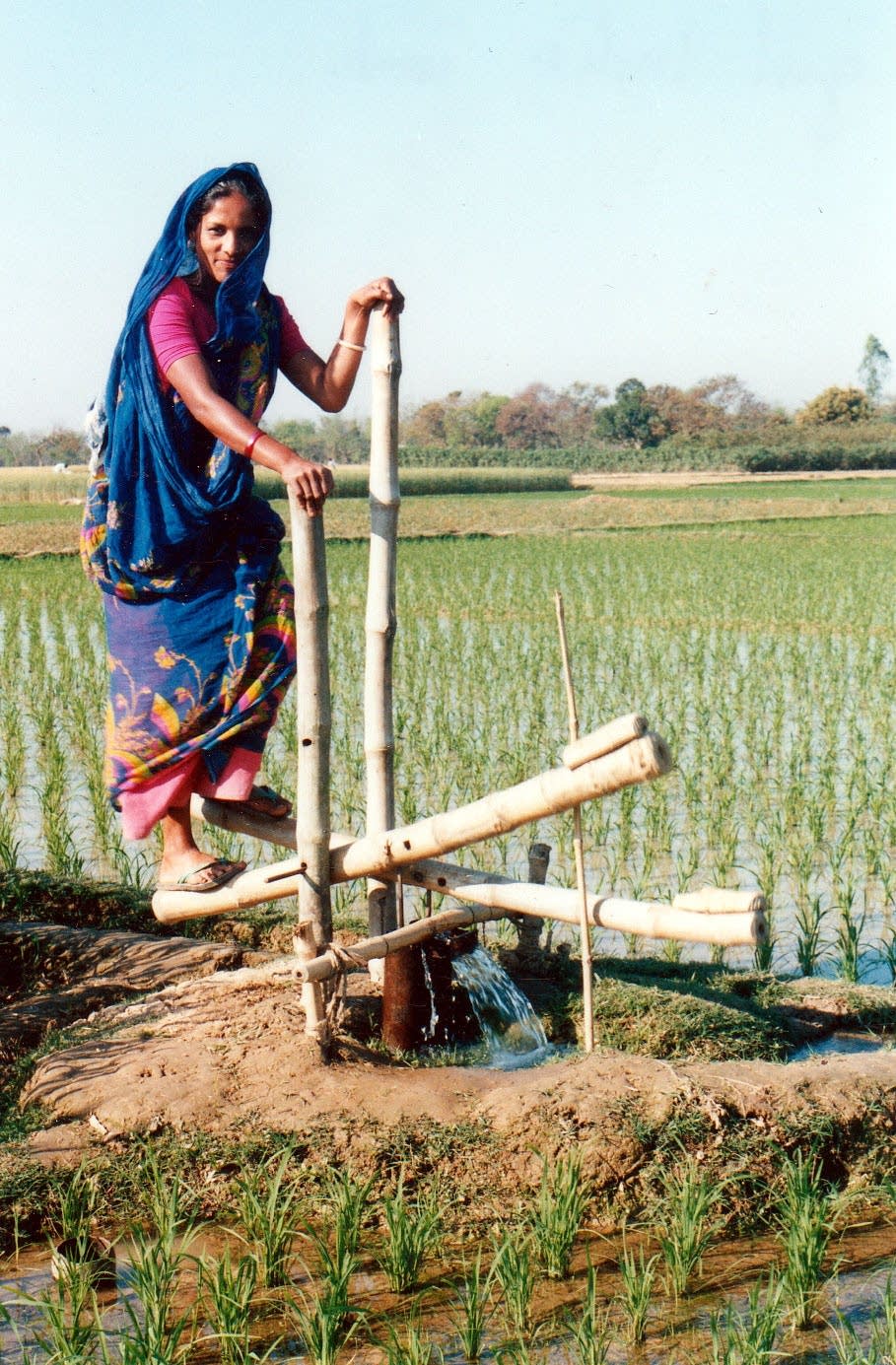 Indian woman on a treadle pump