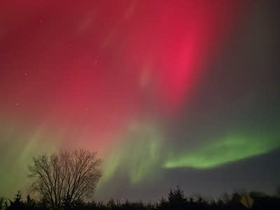 Reds and greens cover the night sky.