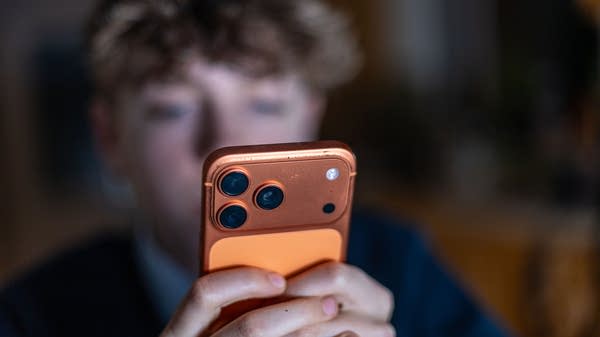 What are the costs of social media's harm to kids?