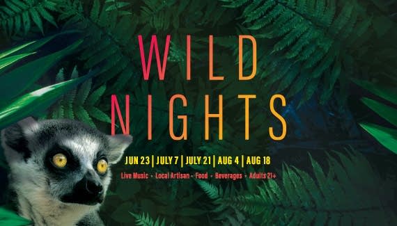 Wild Nights Summer Concert Series