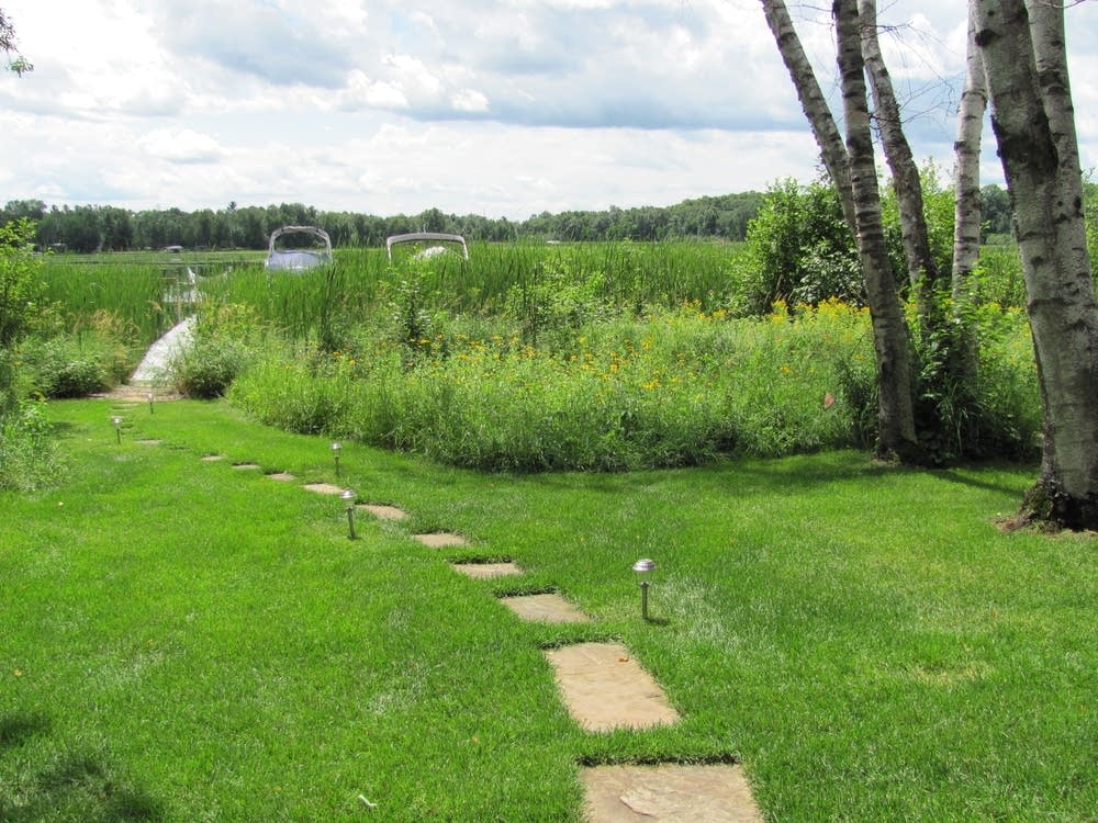 Wetlands