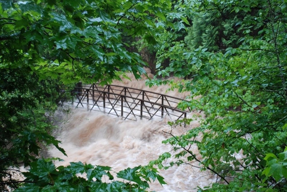 Congdon Park footbridge