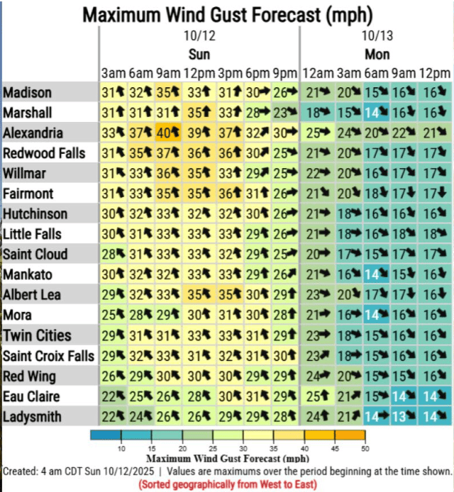 Wind gusts forecast