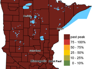Where to see fall colors this week