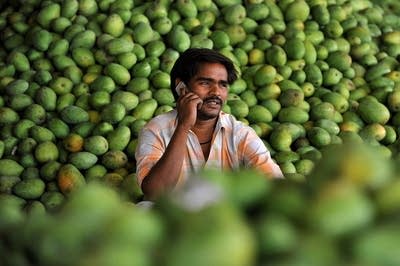 An Indian farmer on a cellphone