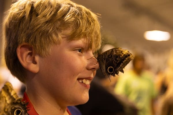 boy posing for portrait at butterfly house