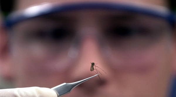 09/11/2017: Hurricane waters could be spreading the West Nile virus