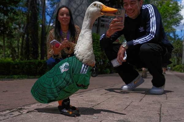 Mexico WCup Mascot
