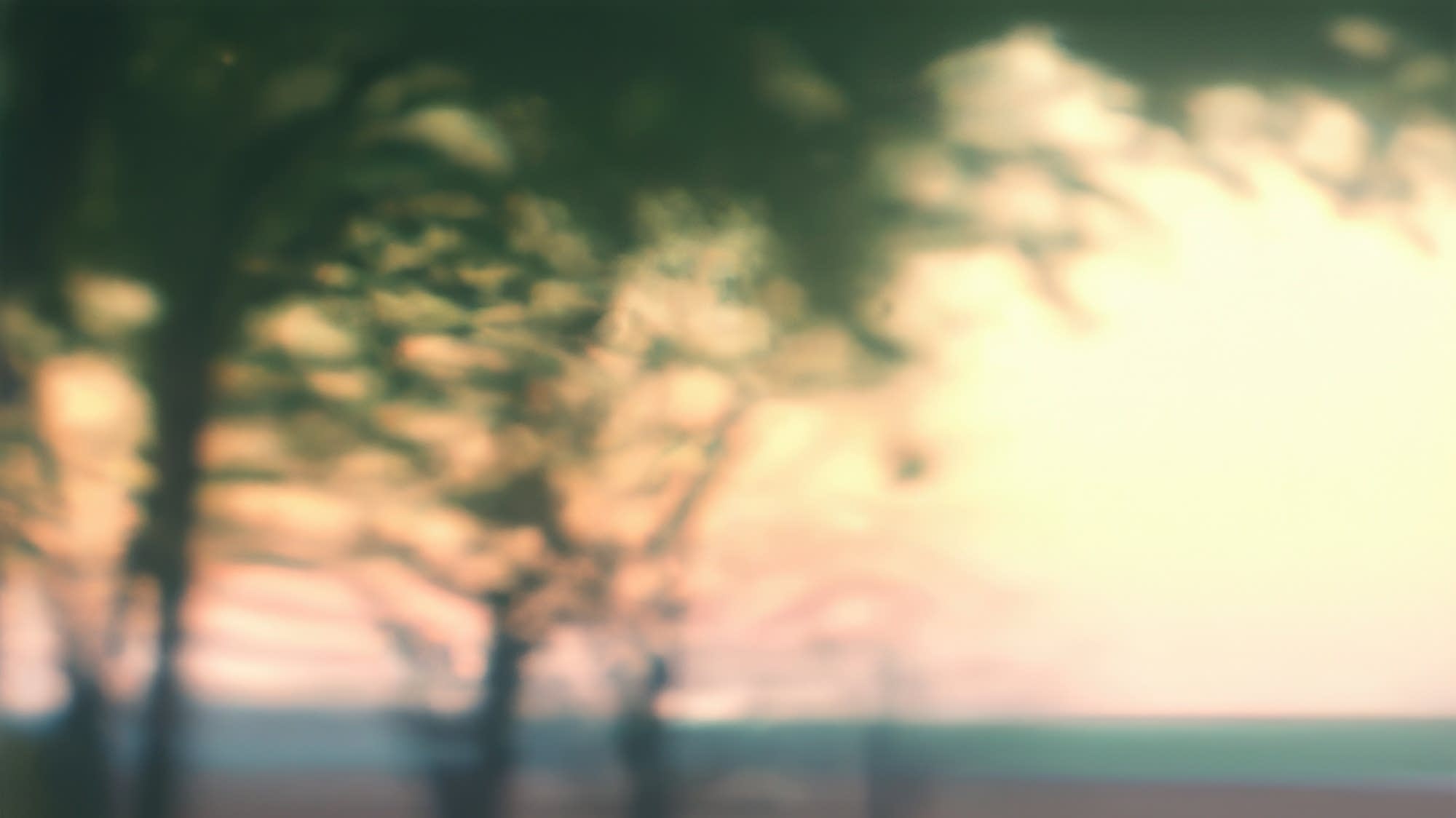 Art Hounds: Evan Abramson's dreamy landscapes - Vimarsana News