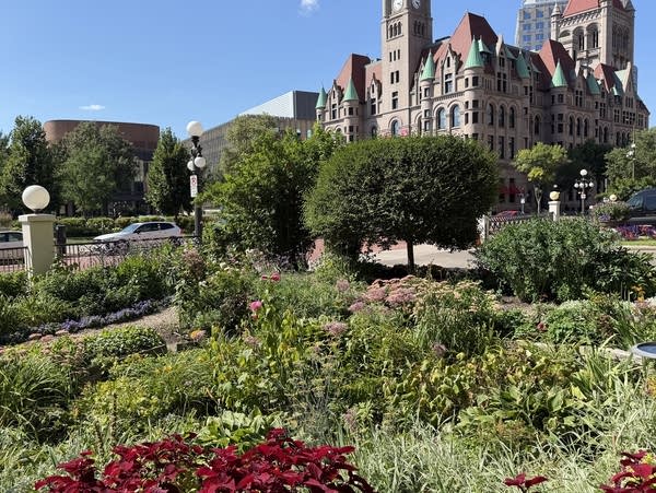 Gardens amid city buildings