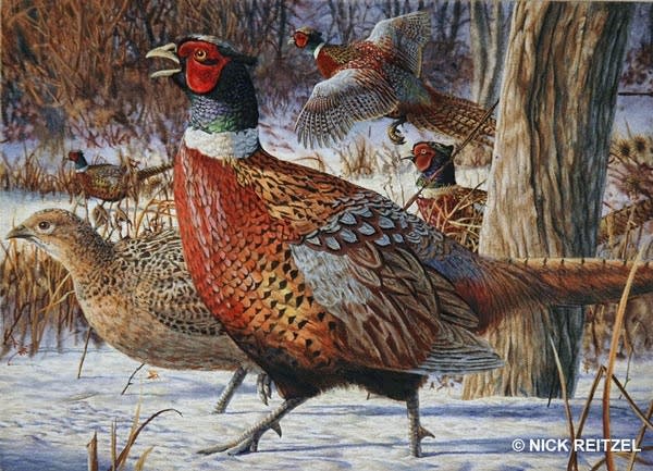 2008 Pheasant stamp