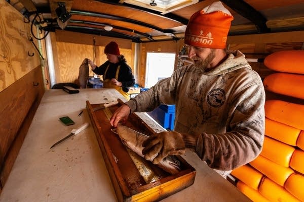 Lake Superior tribal lake trout netting