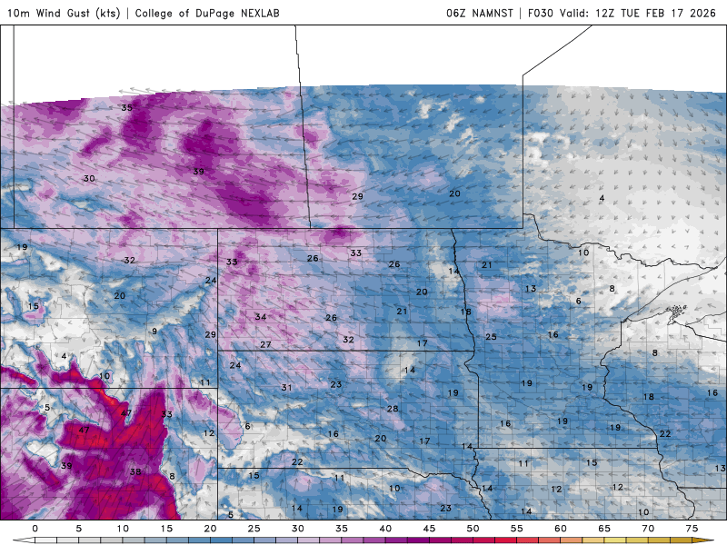 Wind speed and direction Tuesday 6 a.m. to Wednesday 12 p.m.