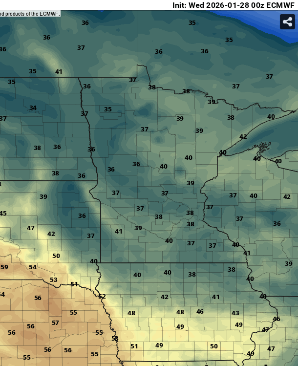 European ECMWF model temperature