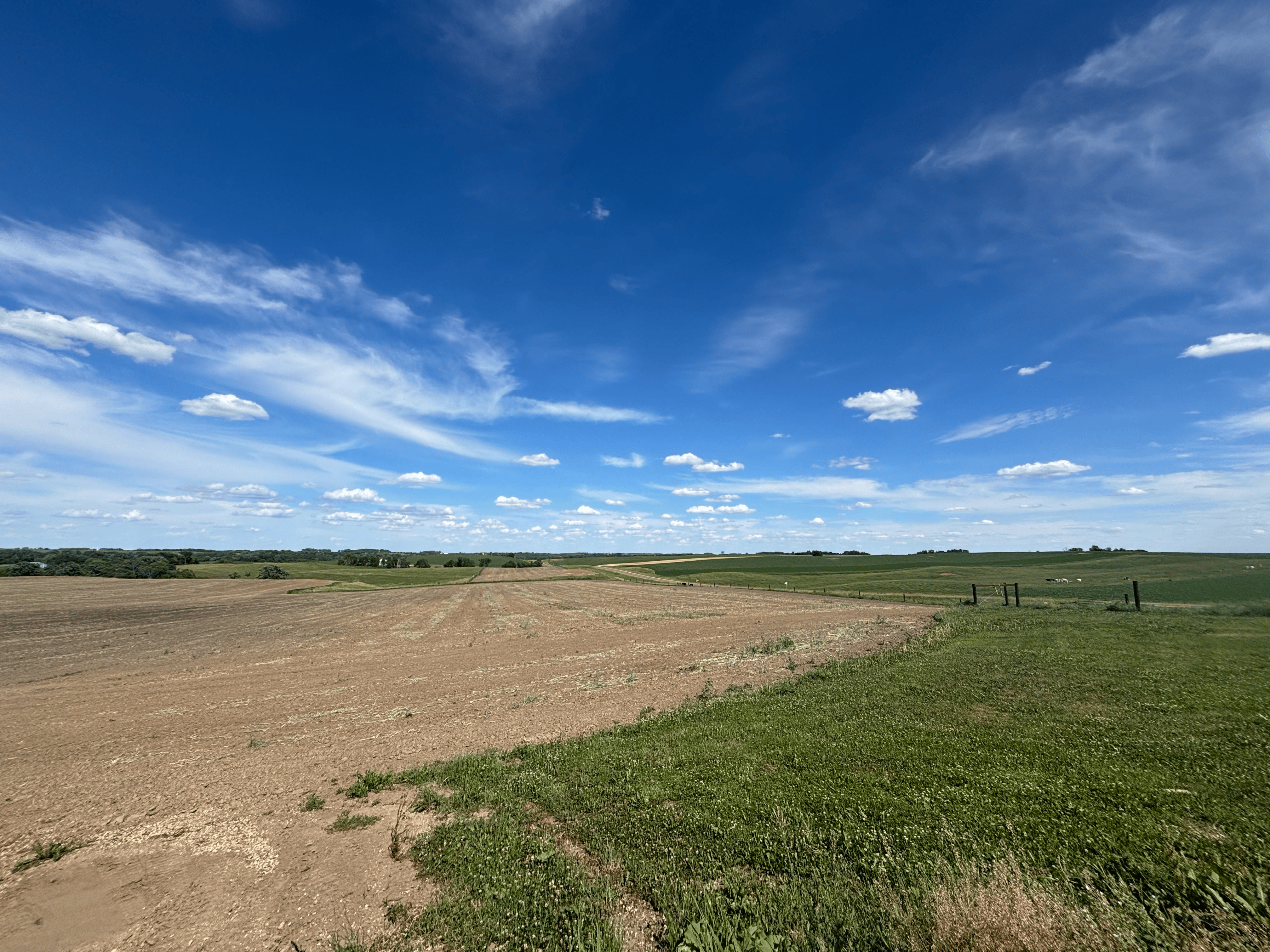 A farm in Zumbrota