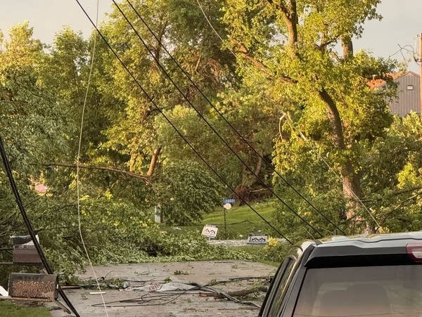 Downed trees and power lines in the wake of severe storms