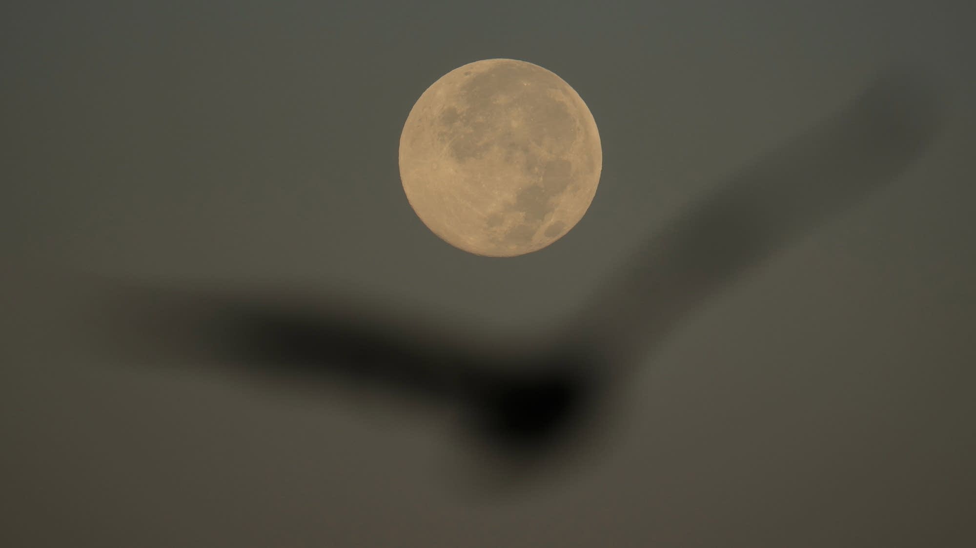 How to see November’s closest supermoon