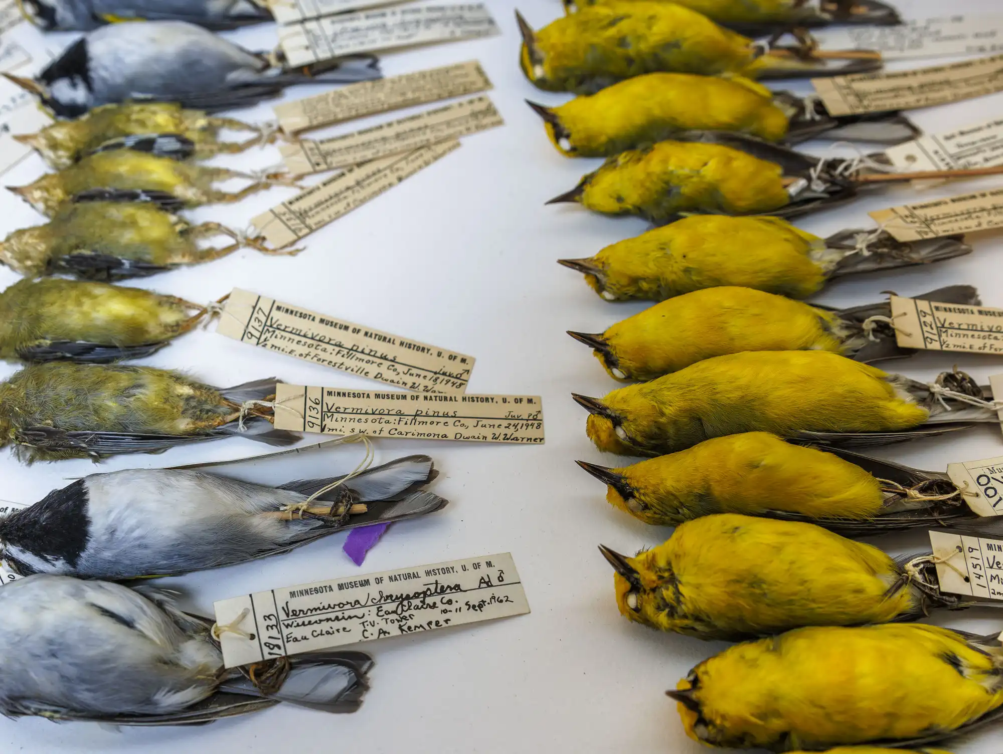 85058f-20231226-animals05-