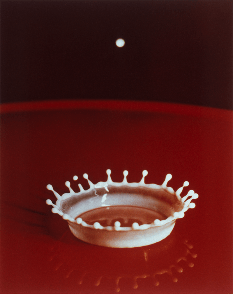 Harold Edgerton, Milk Drop Coronet, 1957.