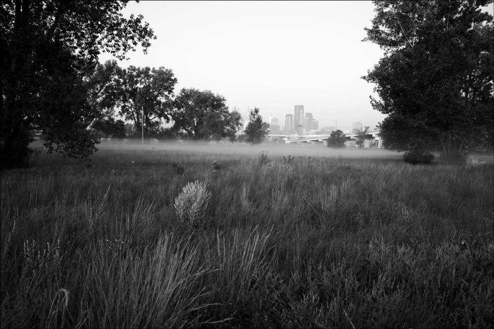 Bruce Vento nature sanctuary