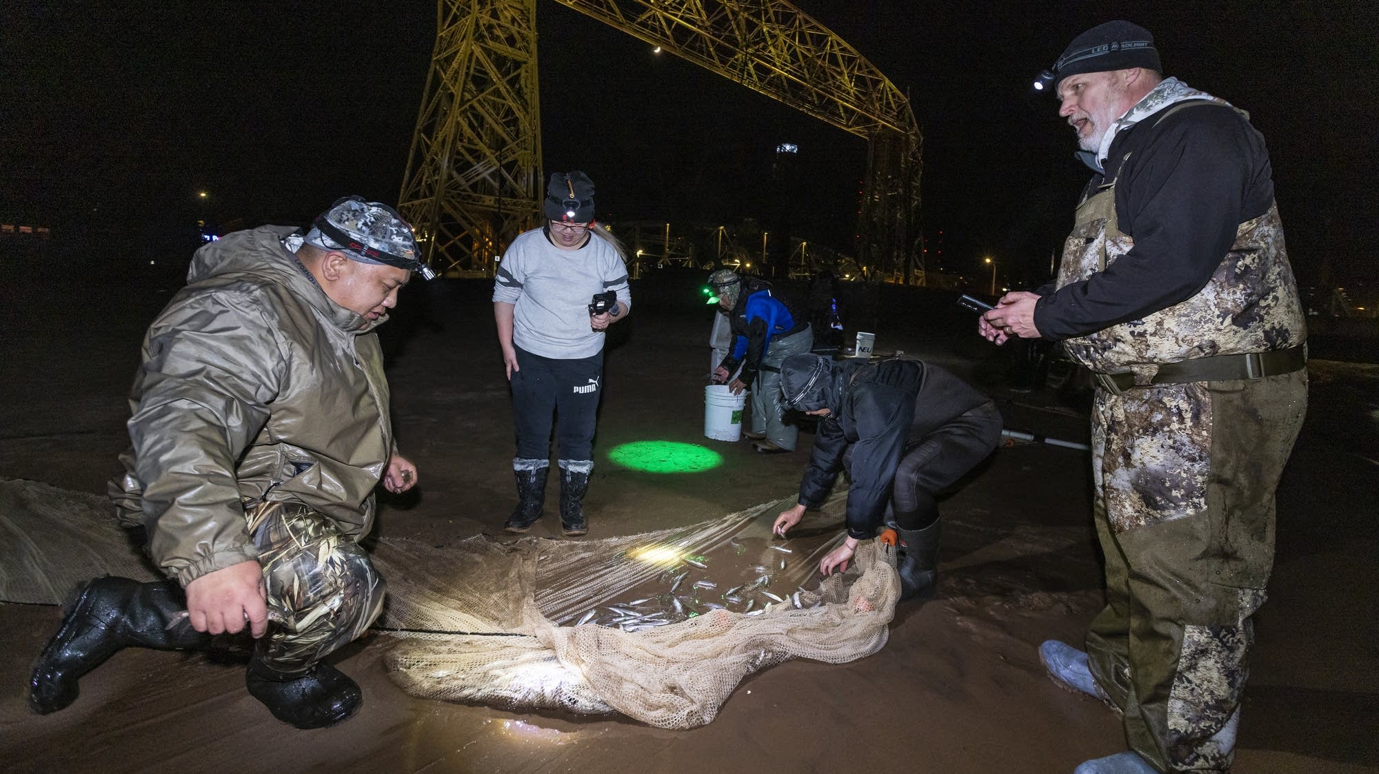 Study shows PFAS levels dropping in Great Lakes fish