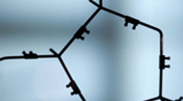 DNA strands from a double helix model