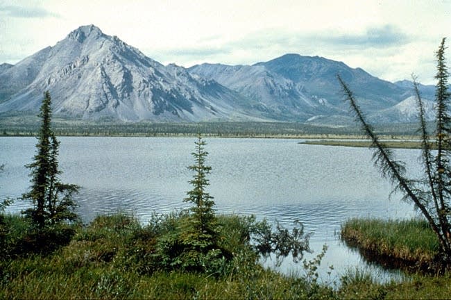 Arctic refuge
