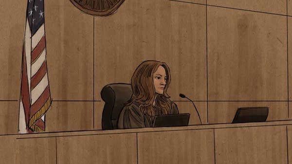 A courtroom illustration of a sentencing.